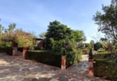 Casa de camp amb terreny en venda a Crevillent ref.: TR188288 foto
