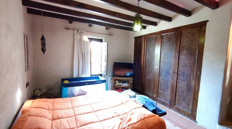 Alicante - Crevillente - 6494m2