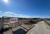 Rural estate for sale in Novelda ref: TR109770 photo