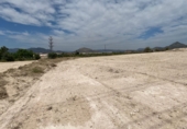 Rural estate for sale in Novelda ref: TR109770 photo