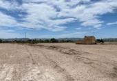 Rural estate for sale in Novelda ref: TR109770 photo
