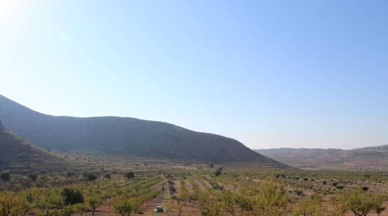 Alicante - Hondón de los Frailes - 14305m2