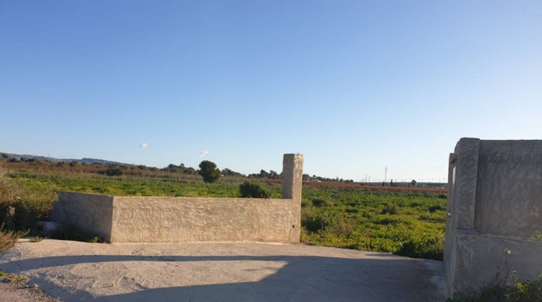 Alicante - Crevillente - 11955m2