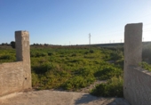 Non-developable land for sale in Sax ref: TR109773 photo