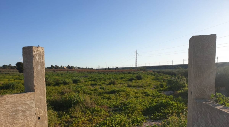 Alicante - Crevillente - 11955m2