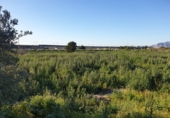 Non-developable land for sale in Sax ref: TR109773 photo