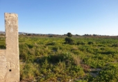 Non-developable land for sale in Sax ref: TR109773 photo