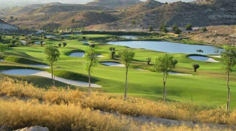 Alicante - Ferriol - P1 - 335m2
