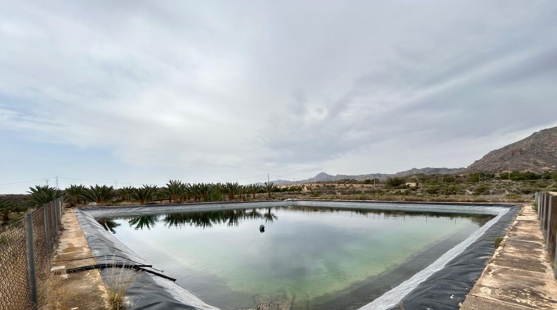 Alicante - Albatera - 21432m2