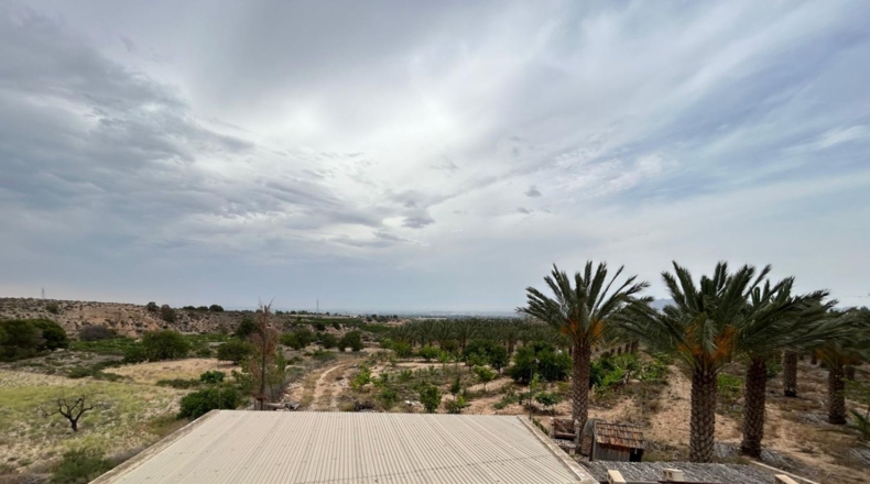 Alicante - Albatera - 21432m2