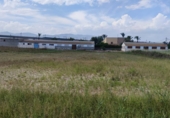 Suelo urbano en venta en Crevillente ref: TR109778 foto