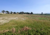 Suelo urbano en venta en Crevillente ref: TR109778 foto