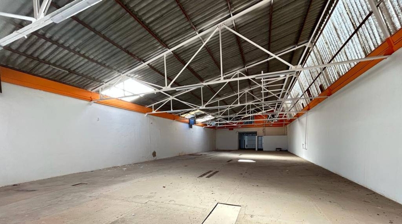 Alicante - Crevillent - 850m2