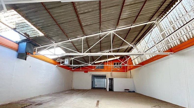 Alicante - Crevillent - 850m2