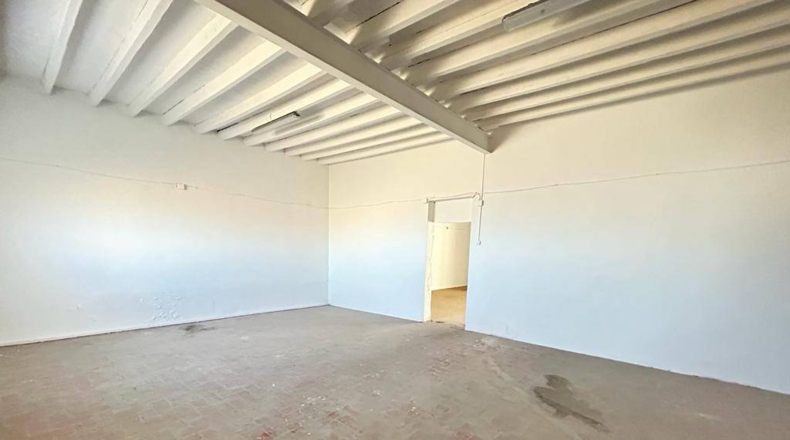 Alicante - Crevillent - 850m2