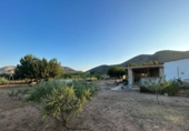 Casa de campo con terreno en venta en Hondón de las Nieves ref: TR199434 foto
