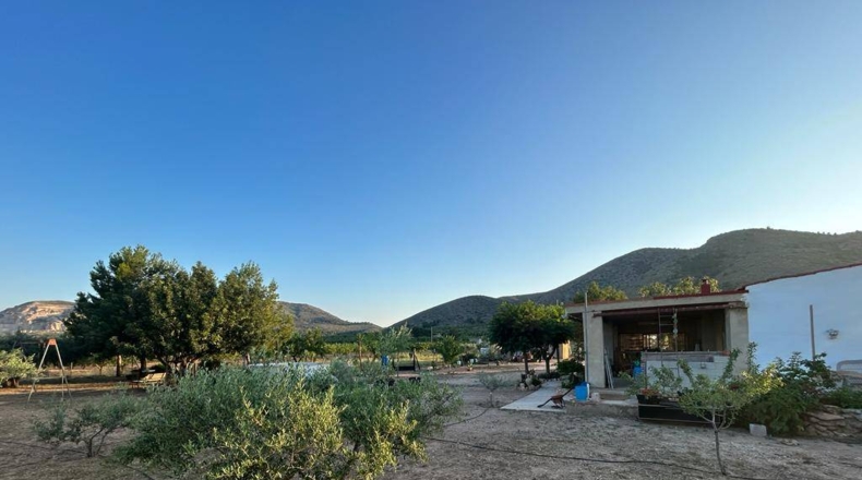 Alicante - La Canalosa - 7748m2