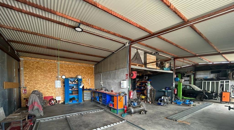 Alicante - Crevillente - 28000m2
