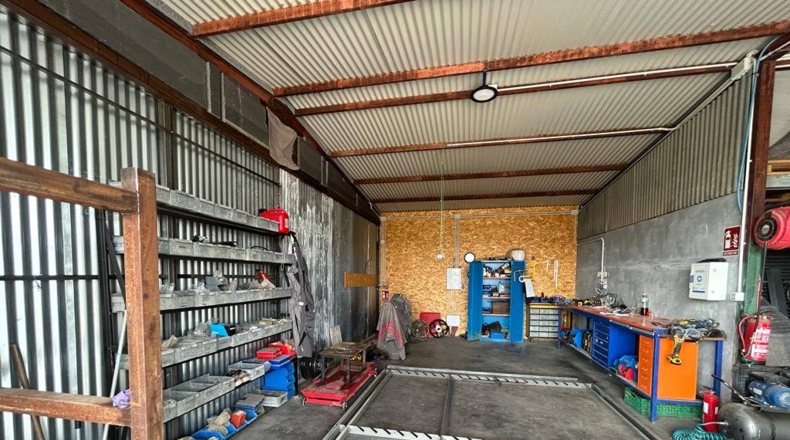 Alicante - Crevillente - 28000m2