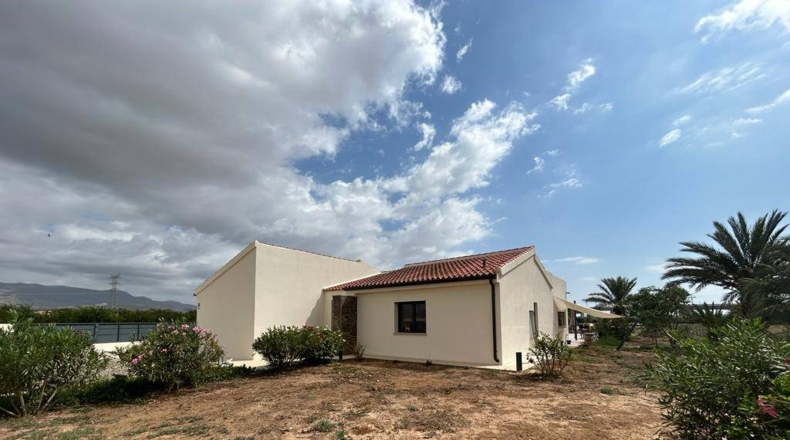 Alicante - Crevillente - 28000m2