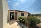 Casa de camp amb terreny en venda a Crevillent ref.: TR188276 foto