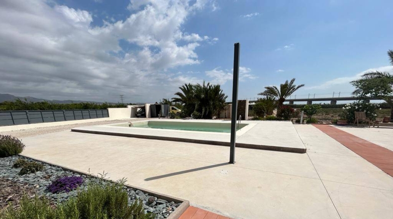 Alicante - Crevillente - 28000m2