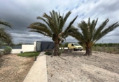 Casa de camp amb terreny en venda a Crevillent ref.: TR188276 foto