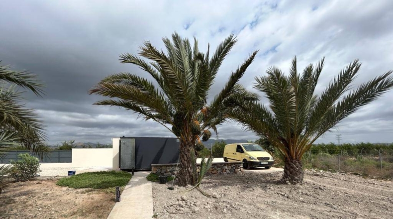 Alicante - Crevillente - 28000m2