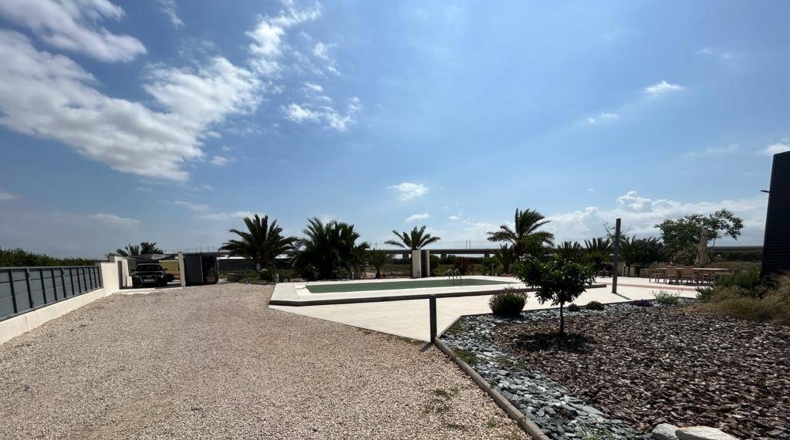 Alicante - Crevillente - 28000m2