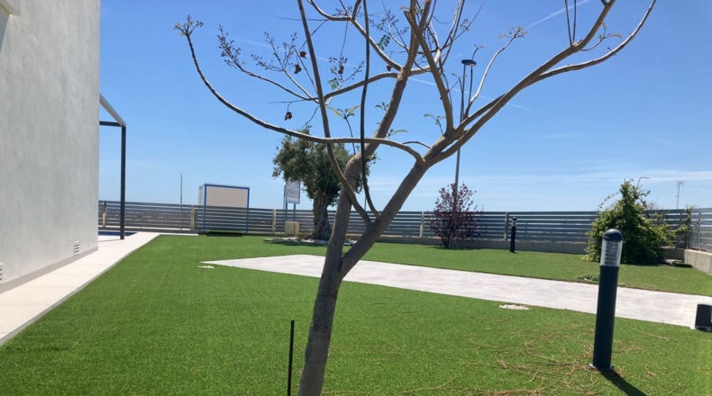 Alicante - Mutxamel - 700m2