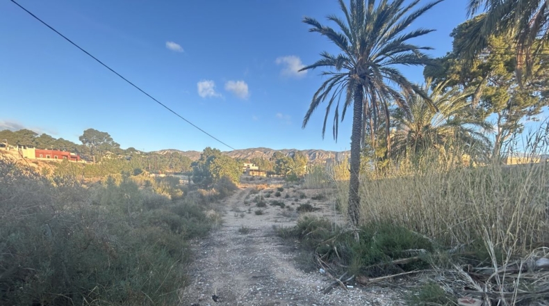 Alicante - Crevillente - 1750m2