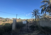 Terreny no urbanitzable en venda a Crevillent ref.: TR109785 foto