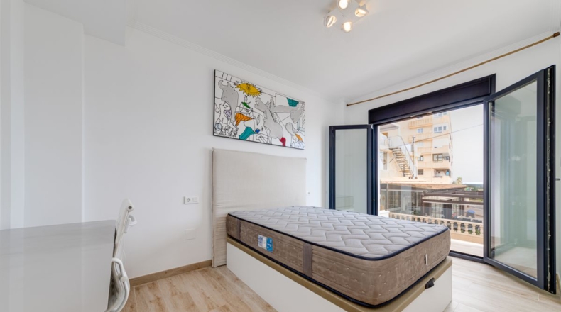 Alicante - Torrevieja - 324m2