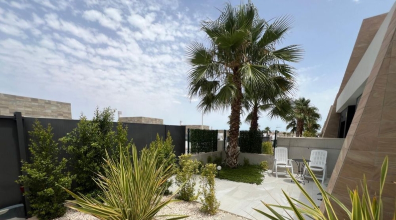 Alicante - Algorfa - 310m2