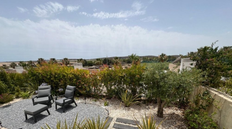 Alicante - Algorfa - 310m2