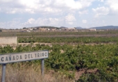 Casa de camp amb terreny en venda a Alhama de Murcia ref.: TR279333 foto