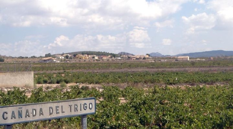 Múrcia - Abanilla - 18000m2