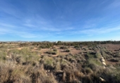Terreno no urbanizable en venta en Elche ref: TR253572 foto