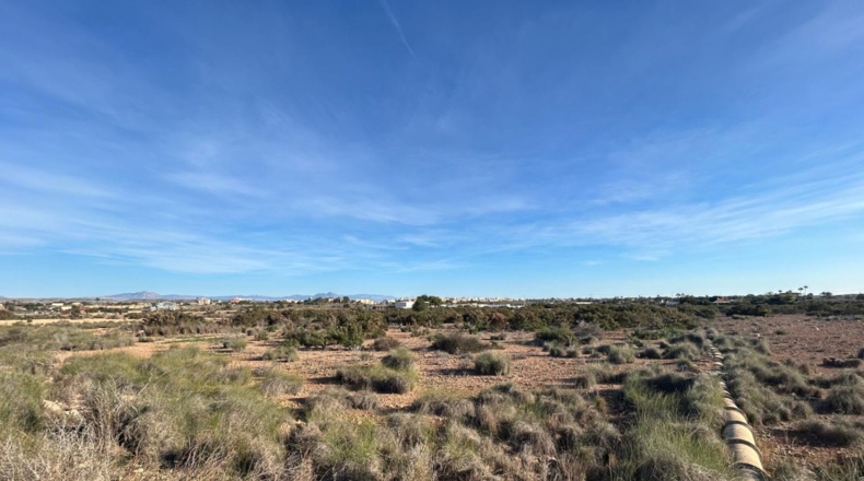 Alicante - Elx - 9712m2