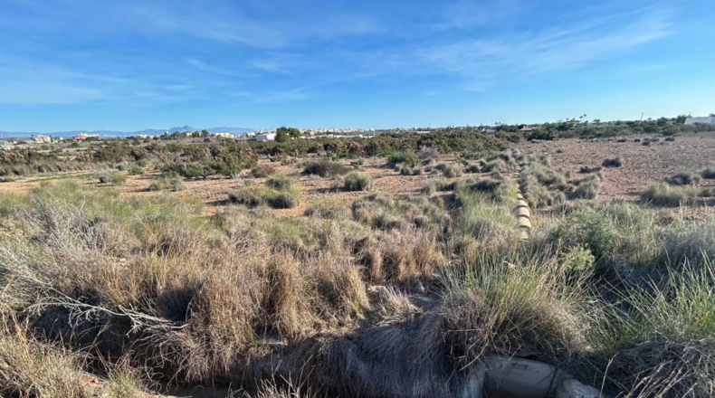 Alicante - Elx - 9712m2