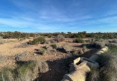 Terreno no urbanizable en venta en Elche ref: TR253572 foto