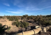 Terreno no urbanizable en venta en Elche ref: TR253572 foto