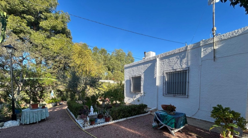Alicante - Crevillente - 2698m2
