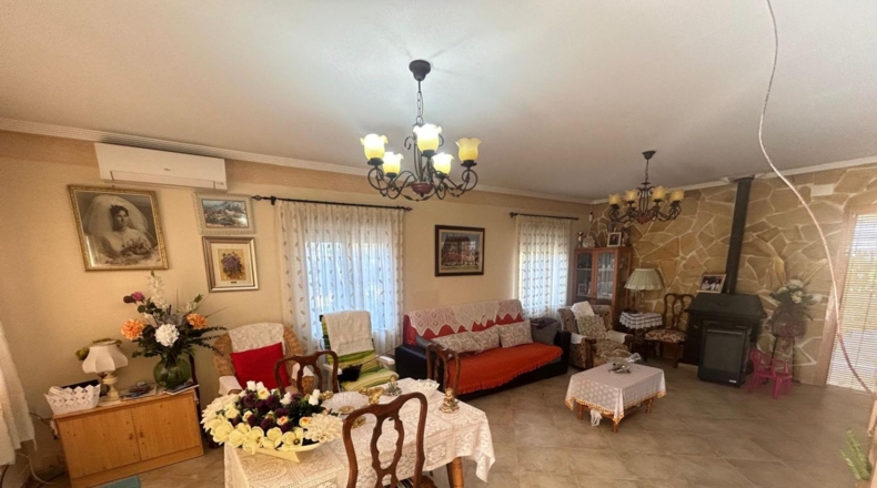 Alicante - Crevillente - 2698m2