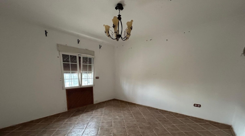 Alicante - Catral - 5000m2