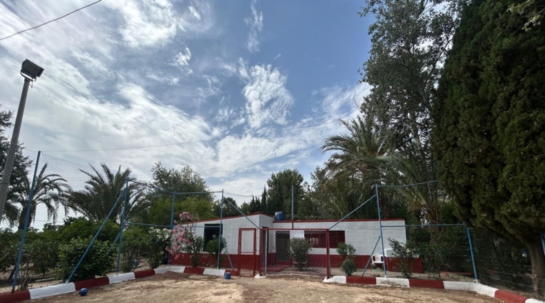 Alicante - Crevillente - 8600m2
