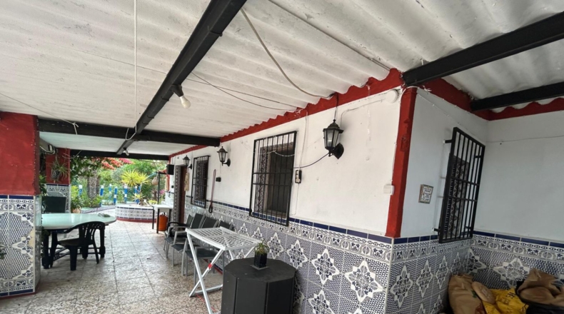 Alicante - Crevillente - 8600m2