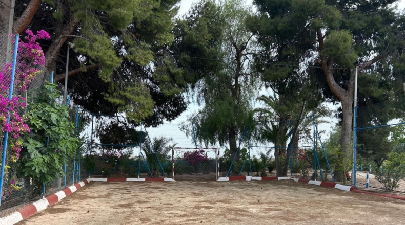 Alicante - Crevillente - 8600m2