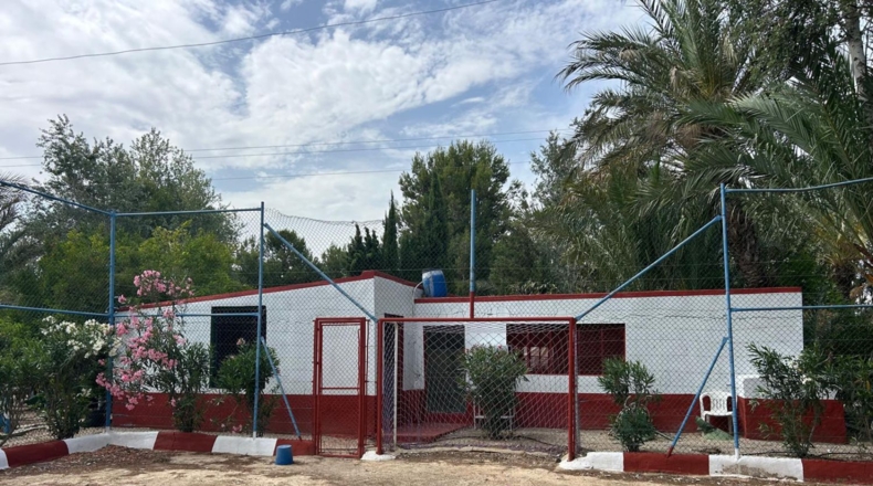 Alicante - Crevillente - 8600m2