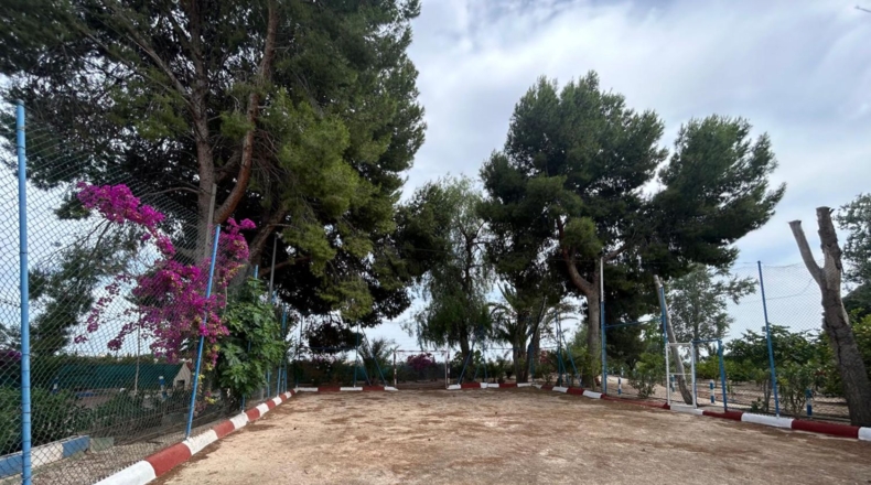Alicante - Crevillente - 8600m2